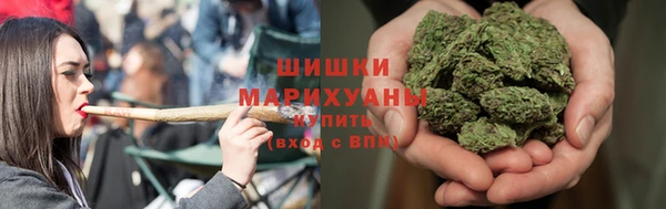 ГАЛЛЮЦИНОГЕННЫЕ ГРИБЫ Арсеньев
