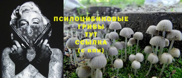 Альфа ПВП Белоозёрский